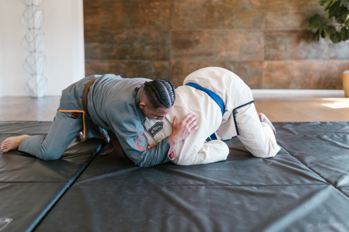 боевые искусства боевые искусства